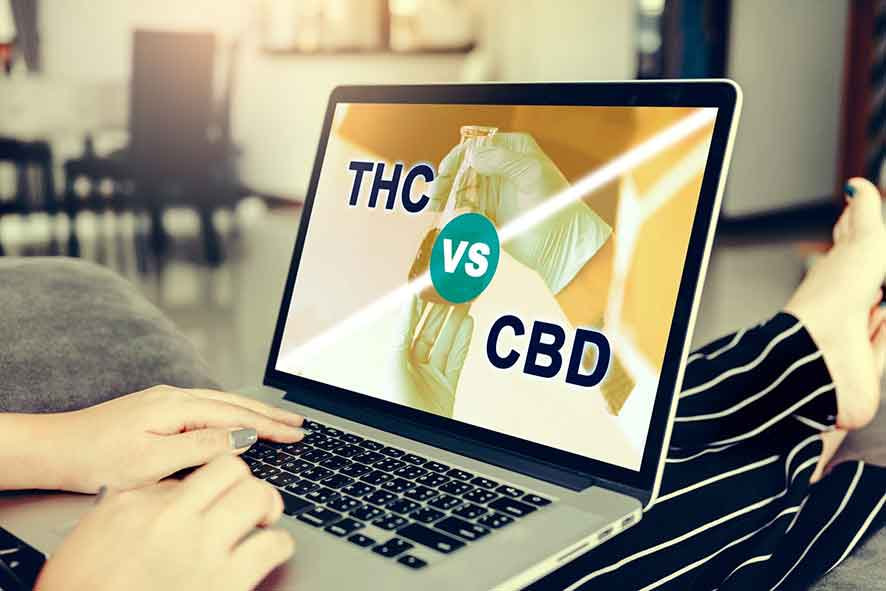 CBD vs THC for Pain