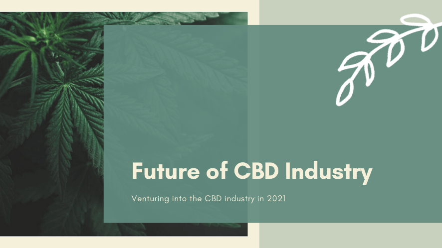 The future of cbd industry